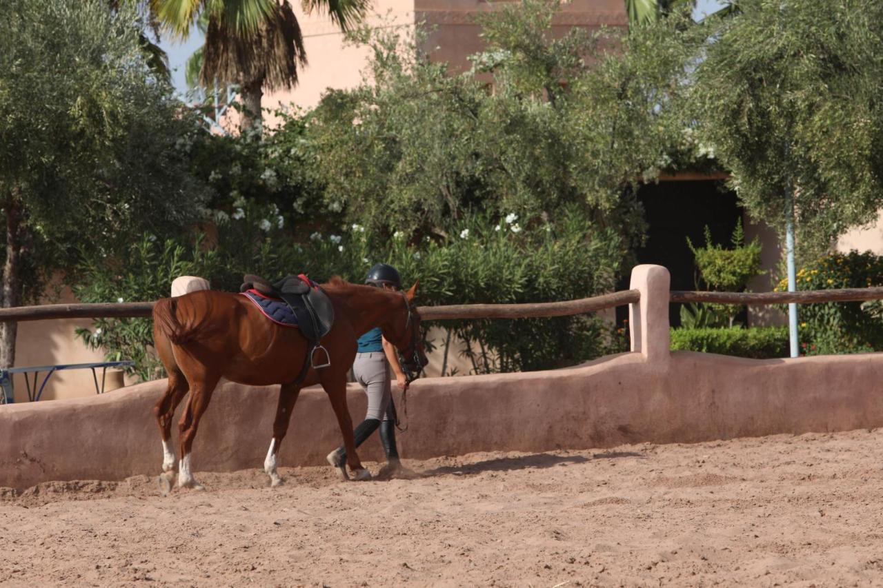 El Harkat Villa Katia المظهر الخارجي الصورة