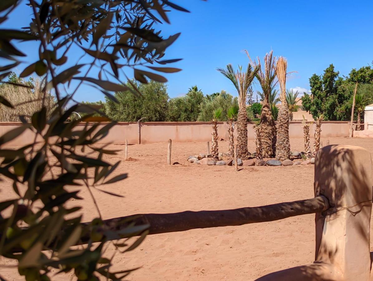 El Harkat Villa Katia المظهر الخارجي الصورة
